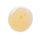 Holi (Cleanse) Cleansing Face Oil