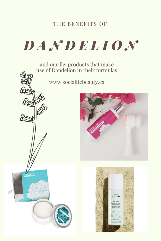 The Benefits of Dandelion