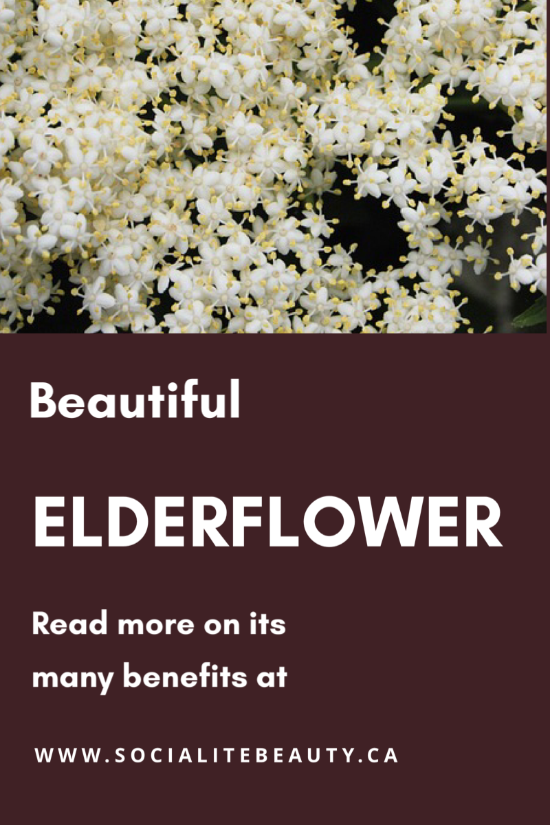 Elderflower