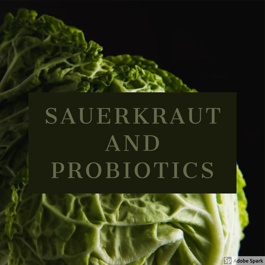 Sauerkraut and Probiotics