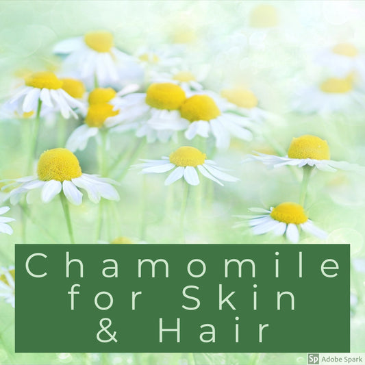 Chamomile Tea for Skin and Hair