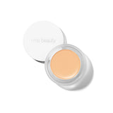 UnCoverup Concealer