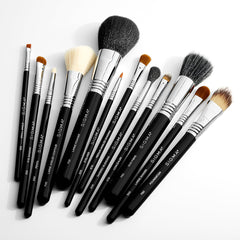 Essential Brush Set