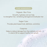 Aloe Vera Hair Mousse