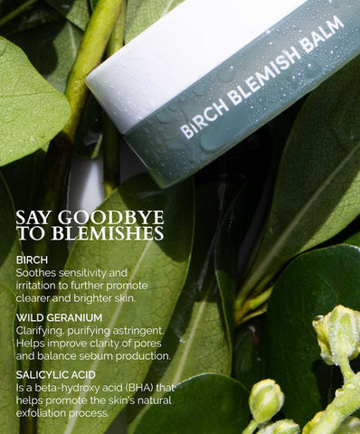 Fitglow Beauty Birch Blemish Balm at Socialite Beauty Canada