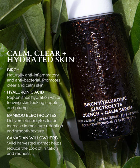 Fitglow Beauty Birch Hyaluronic Electrolyte Quench + Calm Serum at Socialite Beauty Canada