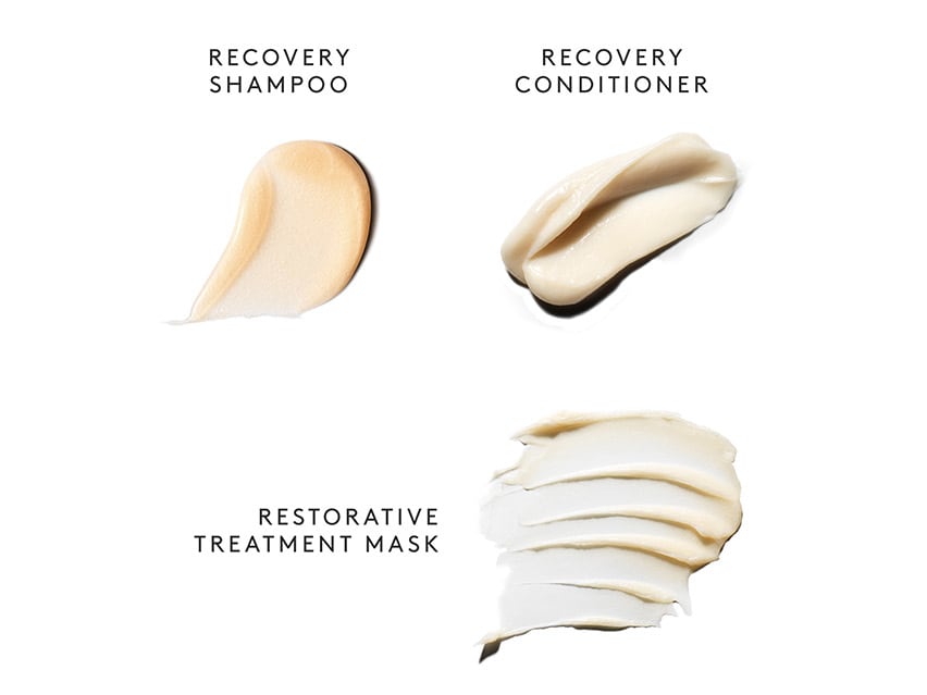 Repair & Strengthen Recovery Discovery Kit