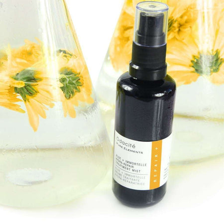 Odacité Aloe + Immortelle Hydra-Repair Treatment Mist at Socialite Beauty Canada